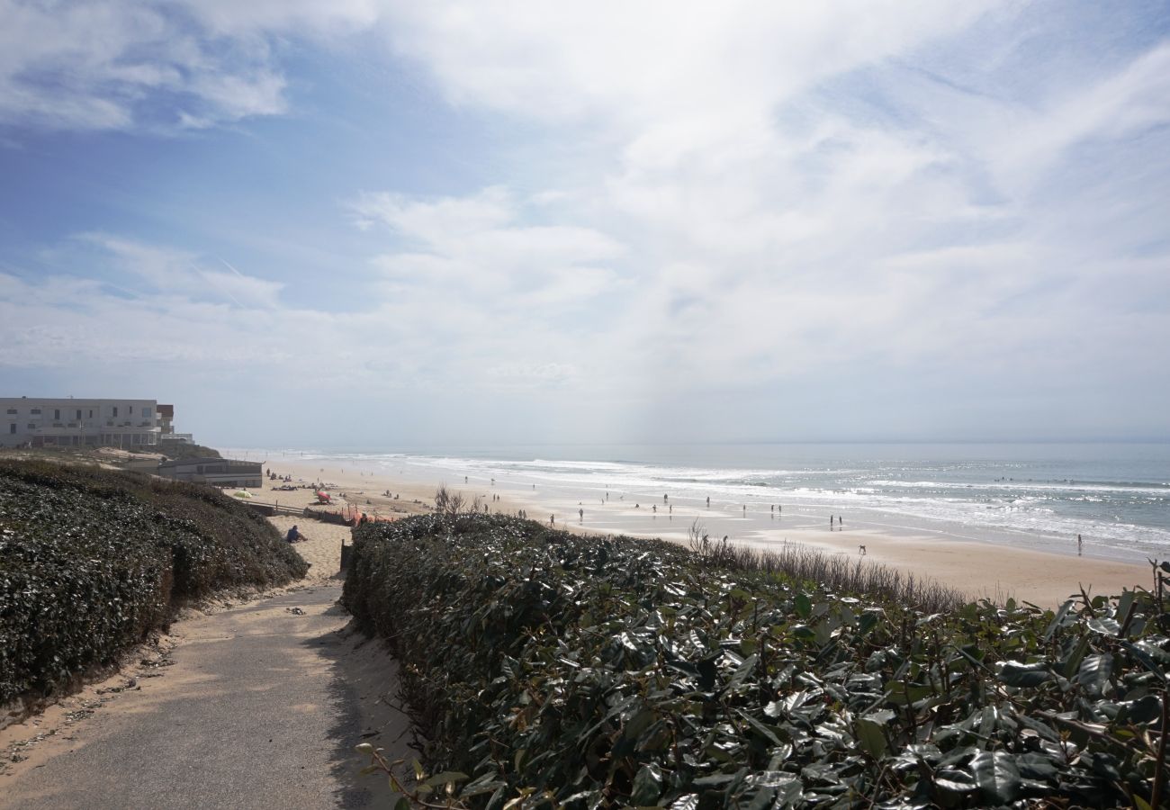 Maison mitoyenne à Biscarrosse - 239 - 15 VILLAS DE NAVARROSSE 2