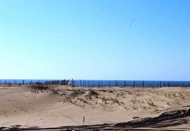 Apartment in Biscarrosse - 132 - 4 RESIDENCE LES OCEANIDES